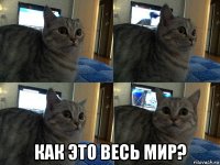  как это весь мир?