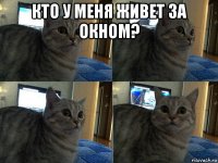 кто у меня живет за окном? 