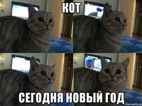 кот сегодня новый год