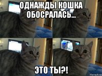 однажды кошка обосралась... это ты?!