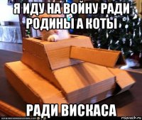 я иду на войну ради родины а коты ради вискаса