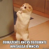  пожалейте киску,положите whiskasa в миску