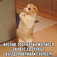  анечка, этот котик молится за твоё здоровье. выздоравливай скорее!!!