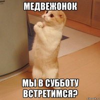 медвежонок мы в субботу встретимся?