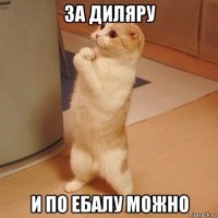 за диляру и по ебалу можно