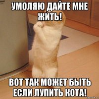 умоляю дайте мне жить! вот так может быть если лупить кота!