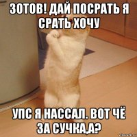 зотов! дай посрать я срать хочу упс я нассал. вот чё за сучка,а?