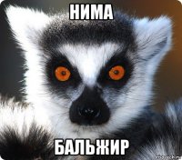 нима бальжир