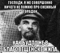 господи, я же совершенно ничего не помню про снежный городок как будто не в благовещенске жила