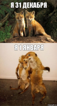 я 31 декабря я 1 января