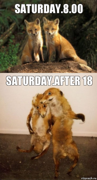 Saturday.8.00 Saturday.After 18