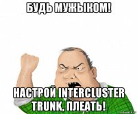 будь мужыком! настрой intercluster trunk, плеать!