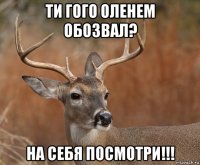 ти гого оленем обозвал? на себя посмотри!!!