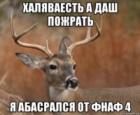 халяваесть а даш пожрать я абасрался от фнаф 4