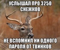 услышал про 3250 снежков не вспомнил ни одного пароля от твинков