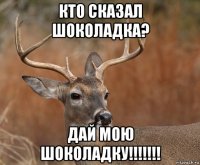 кто сказал шоколадка? дай мою шоколадку!!!!!!!