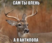 сам ты олень а я антилопа