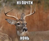 ну почти конь