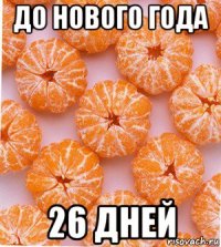 до нового года 26 дней