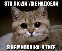 эти люди уже надоели я не милашка, я тигр