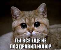  ты всё еще не поздравил юлю?