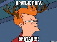 крутые рога братан!!!!