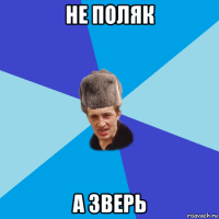 не поляк а зверь