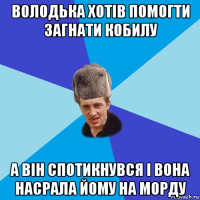 володька хотів помогти загнати кобилу а він спотикнувся і вона насрала йому на морду