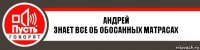 АНДРЕЙ
Знает все об обосанных матрасах