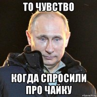 то чувство когда спросили про чайку