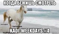 когда бежишь смотреть kadi-weekdays #4