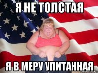 я не толстая я в меру упитанная