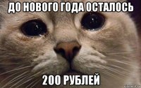 до нового года осталось 200 рублей