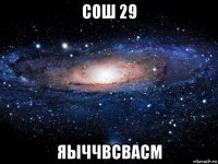 сош 29 яыччвсвасм