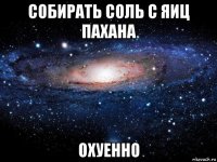 собирать соль с яиц пахана охуенно