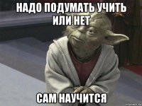 надо подумать учить или нет сам научится