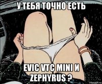 у тебя точно есть evic vtc mini и zephyrus ?