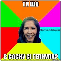 ти шо в сосну сі гепнула?