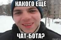 какого ещё чат-бота?