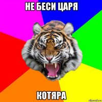 не беси царя котяра