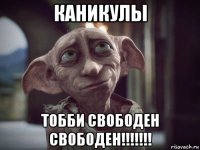 каникулы тобби свободен свободен!!!!!!!