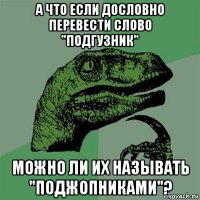 а что если дословно перевести слово "подгузник" можно ли их называть "поджопниками"?