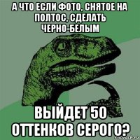 а что если фото, снятое на полтос, сделать черно-белым выйдет 50 оттенков серого?