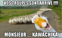 vos troupes sont arrivé !!!! monsieur .... kawachika