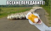 всех не передавите! 