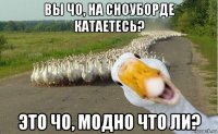 вы чо, на сноуборде катаетесь? это чо, модно что ли?