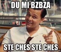 du mi bzbza ste ches ste ches