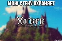 мою стену охраняет 