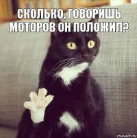 Сколько, говоришь моторов он положил? 