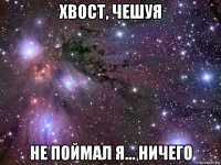 хвост, чешуя не поймал я... ничего